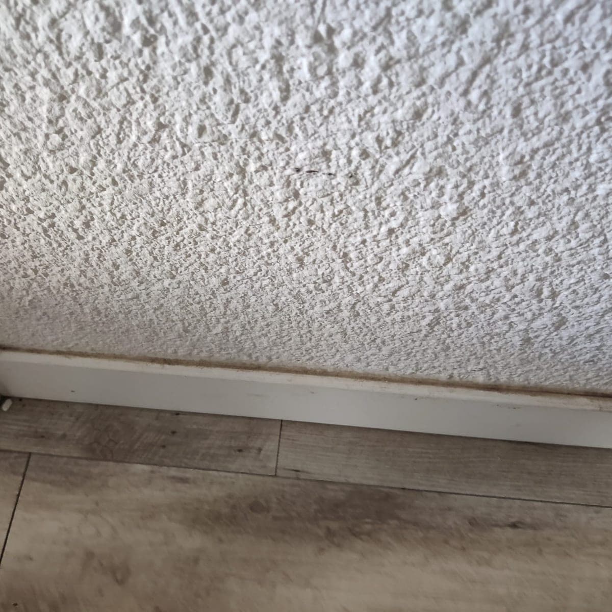 Plinthe blanche et sol imitation bois gris, le long d'un mur crépi, avec une trace sombre de crasse
